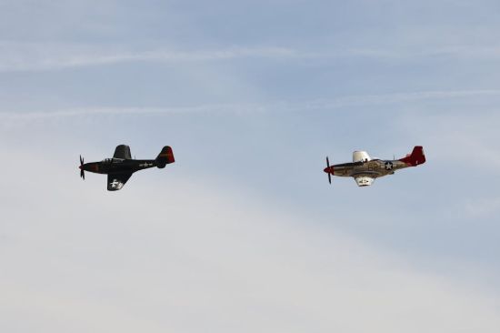 Immagine di T-Shirt Donna Modello 63